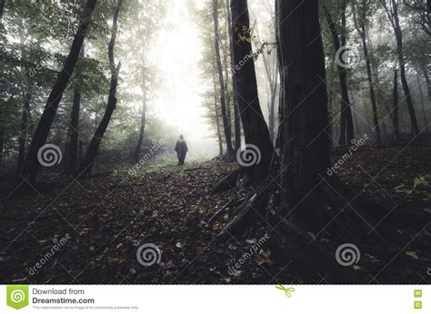 Ghost In Haunted Forest On Halloween Stock Image Image Of Fall