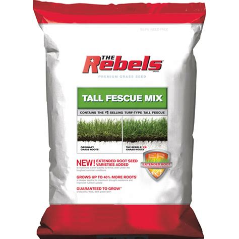 Pennington Rebel Tall Fescue Grass Seed Bred To Grow A Darker Green