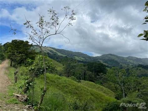 Acres Amazing Mountain View Property With Multiple Rivers In The Area B Platanillo
