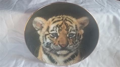 cubs of the big cats plate collection lion cub collectible tiger cub by gua 1985736165