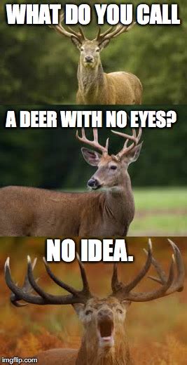 Deer Imgflip