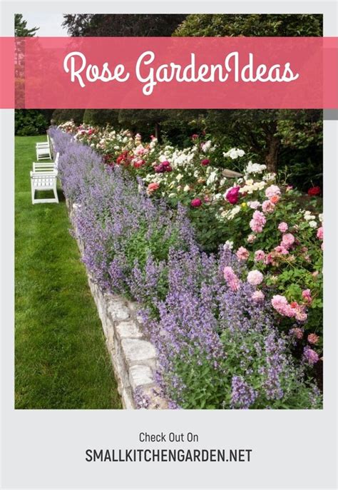 Gorgeous And Simple Rose Garden Ideas With Landscape And Fence Ideas