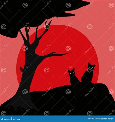 Black Cat Silhouette Stock Image 44024977