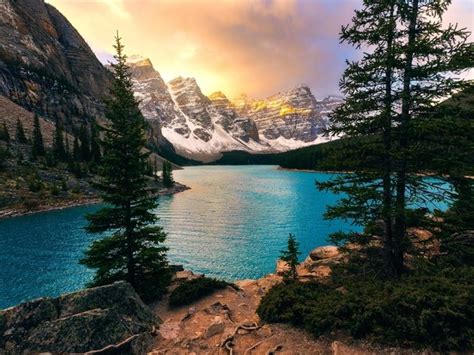 Wallpaper Forest Lake Canada Mountains Banff Sky Moraine Photo