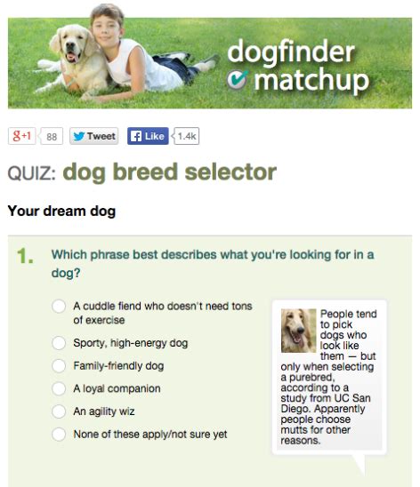 8 Dog Breed Selector Tools For Find Your Perfect Dog