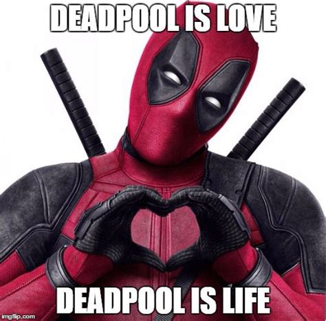 Funny Deadpool Meme Deadpool Is Love Deadpool Is Life Picsmine
