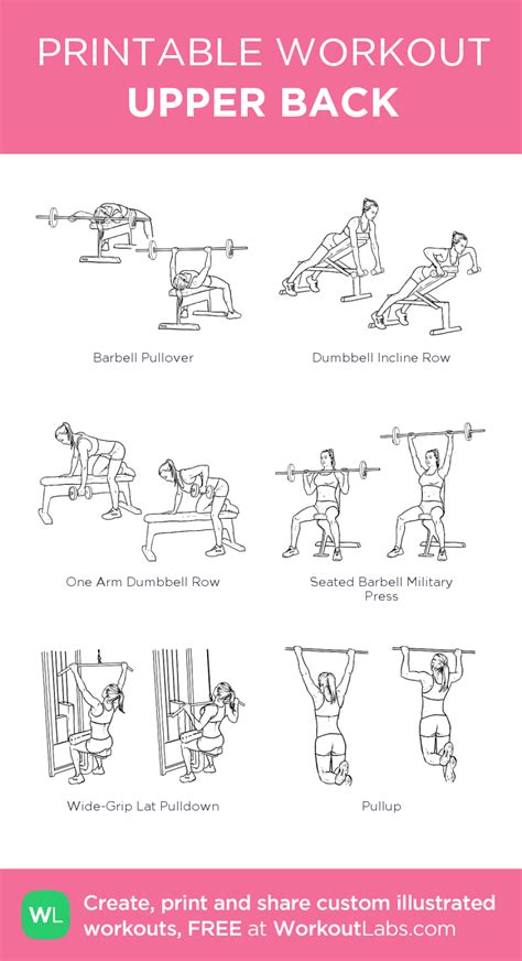 By dr muhammad altaf hussain lecturer anatomy department smc ( duh… Free Printable Workouts & Custom Routine Builder ...