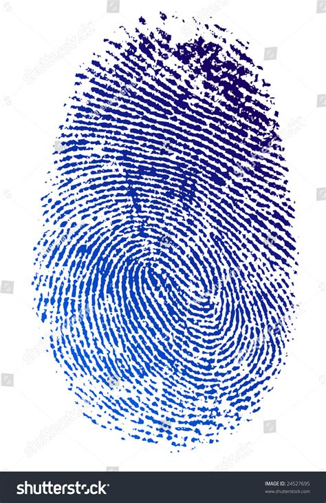 Fingerprint Color Ink Stock Vector Illustration 24527695 Shutterstock
