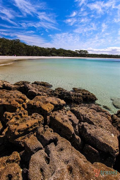 11 Best Beaches In South Coast Nsw Australia Beach And Buckets