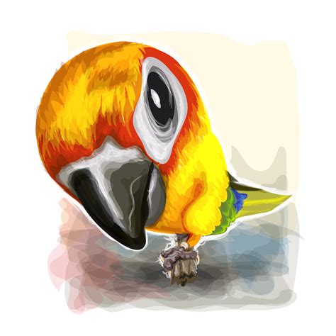 Watercolor Of Parrot On Vector Graphic Art 633868 Vector Art At Vecteezy