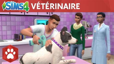Video De Devovo Sims 4 Chien Et Chat - Chien Nouvelles
