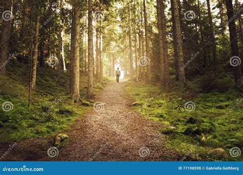 Man Walking Up Path Towards The Light In Magic Forest Stock Photo