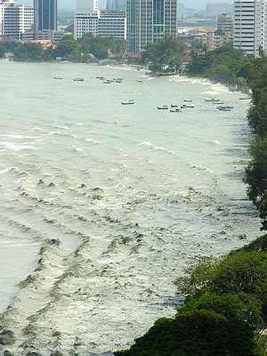 Tsunami at tanjung bungah of penang island. ATTACHBUM: Tsunami visit to Penang