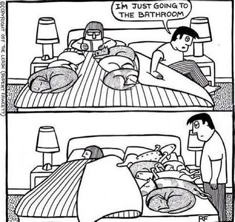 Jeder von uns verbringt in summe täglich mehrere stunden im bett und auf dem sofa. Hunde im Bett - das Problem - Lumpi4.de | Hundemagazin