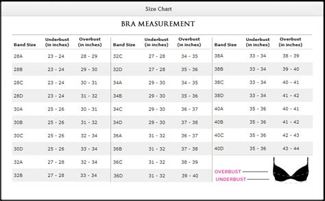 Bra Panty Size Chart With Image Indian Bra And Panty Size Calculator Ecensus