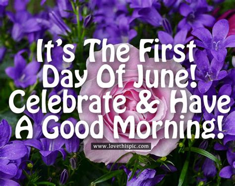 Its The First Day Of June Celebrate And Have A Good Morning Pictures