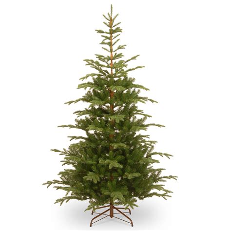 75 Norwegian Spruce Artificial Christmas Tree Unlit