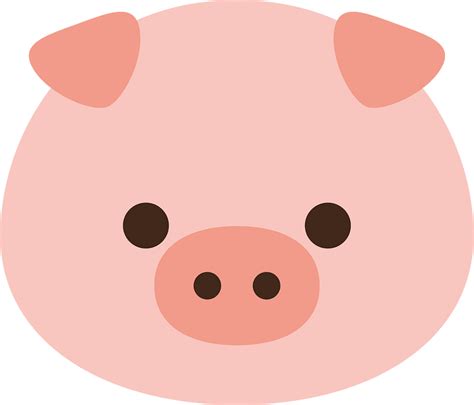 Animal Face Pig Clipart Free Download Transparent Png Creazilla