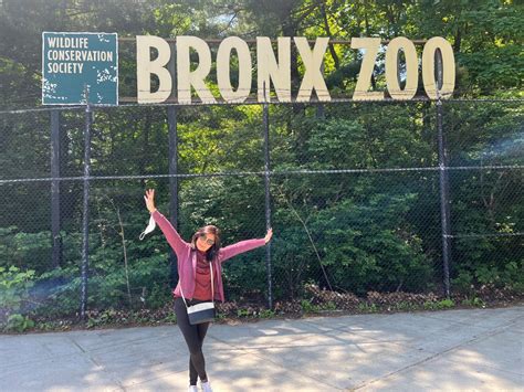 6 Fun Things To Do In Bronx Zoo Travel With Jeng