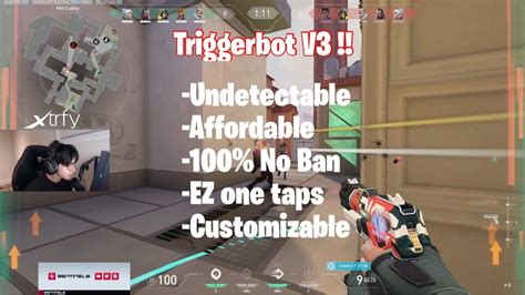 Premium Valorant Triggerbot Undetected Autohotkey Cheats Hacks Video