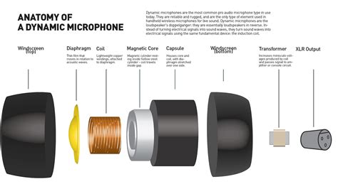 Microphone Echo Circuit Diagram Microphone Qhm 04 Wiring Diagram