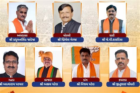 BJP Nominate 7 Candidates On By Elections In Gujarat