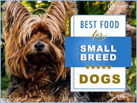 The assumption that small breed dogs are low maintenance and easy to feed due to their small size is dangerous. 7 Best Foods to Feed a Small Breed Dog