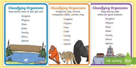 Mnemonics For Classification Of Living Things Twinkl
