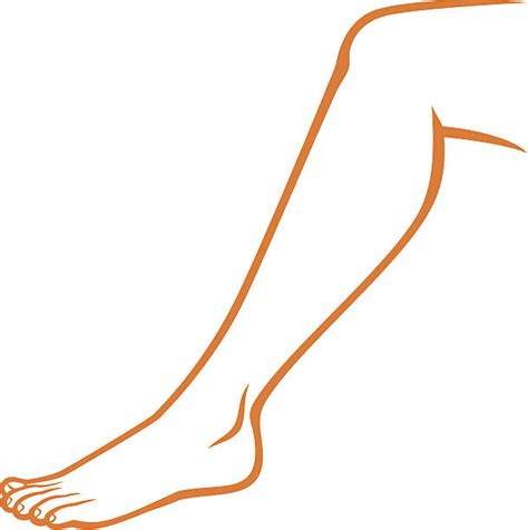royalty free human leg clip art vector images and illustrations istock