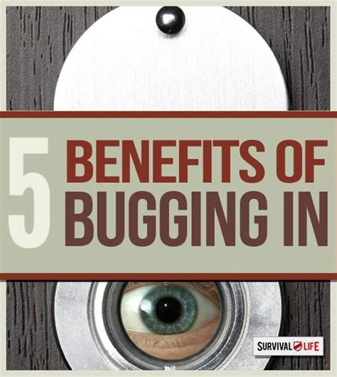 5 Benefits Of Bugging In Urban Survival Survival Life Homestead