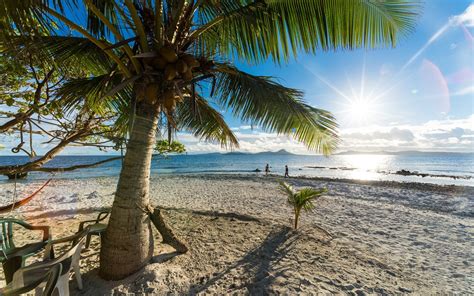 Nature Landscape Tropical Beach Sea Palm Trees Bench Summer Sand Island Water Wallpaper