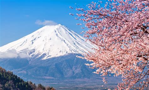 Exploring Mount Fuji A Visitors Guide Planetware
