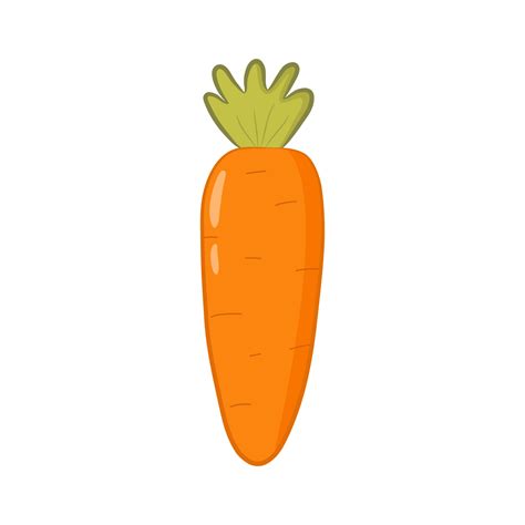 Cute Orange Carrot In Cartoon Style Colorful Carrot Isolated On White