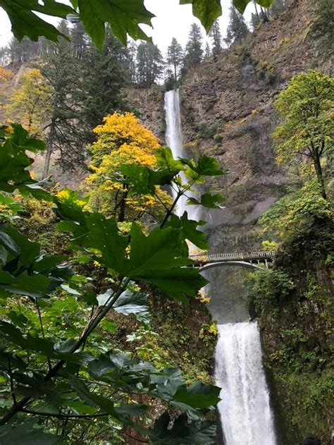 Oregons Multnomah Falls Lodge Offers Unforgettable Waterfall Views