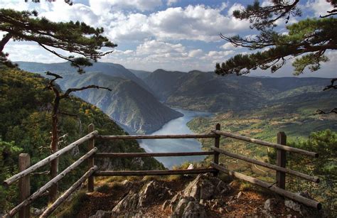 Mountain Tara National Parks Serbia Balkans Travel