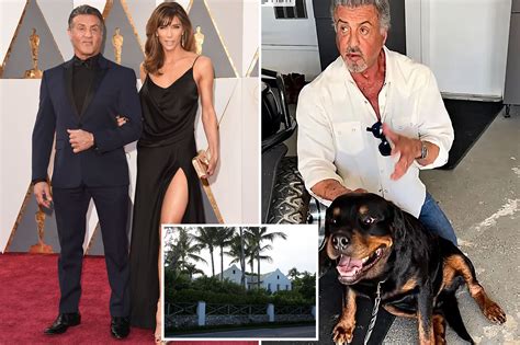 News And Report Daily Sylvester Stallone Reveals How Long Time Pal