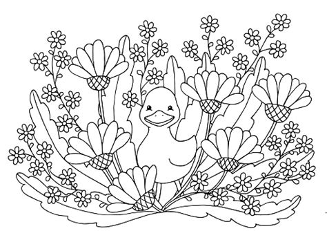 Explore tweets of 不见星空 @bujianxingkong on twitter. 花とかわいいアヒルの塗り絵ページ - いたずら書きのベクター ...