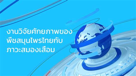 breaking news I งานวิจัยสมุนไพรไทยกับโรคสมองเสื่อม - YouTube