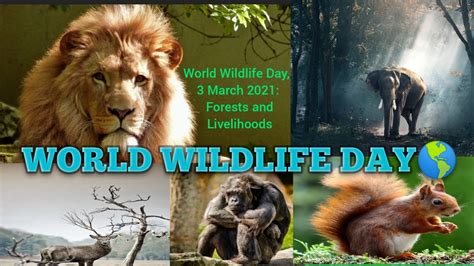World Wildlife Day 2021 Theme Forest And Livelihoods World