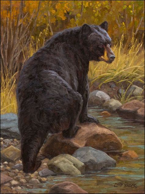 Bear Paintings Wildlife Paintings Wildlife Artists Bear Artwork