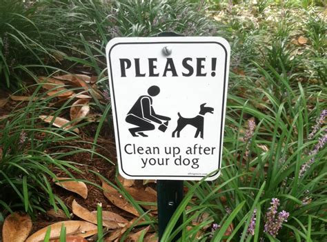 Please Clean Up After Your Dog Yard Signs