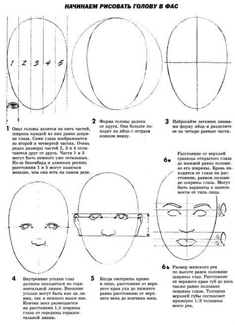 Пропорции головы и тела человека Рисунок Теория рисования Статьи