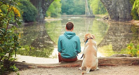 The 7 Essential Dog Human Relationships Which One Are You