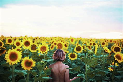 Naked Young Woman Stands With Her Back In A Field Of Sunflowers