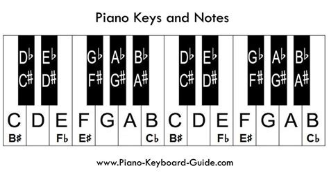 How To Label Piano Keys White And Black Very Easy Beginners Piano