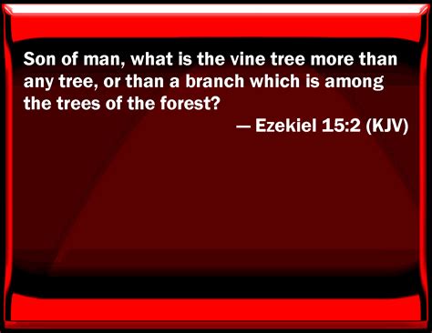 Ezekiel 152 Son Of Man What Is The Vine Tree More Than Any Tree Or Than A Branch Which Is