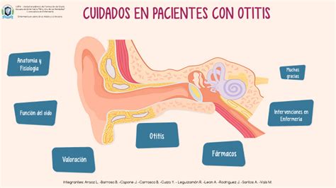 Cuidados En Pacientes Con Otitis By Micaa Estefania On Prezi