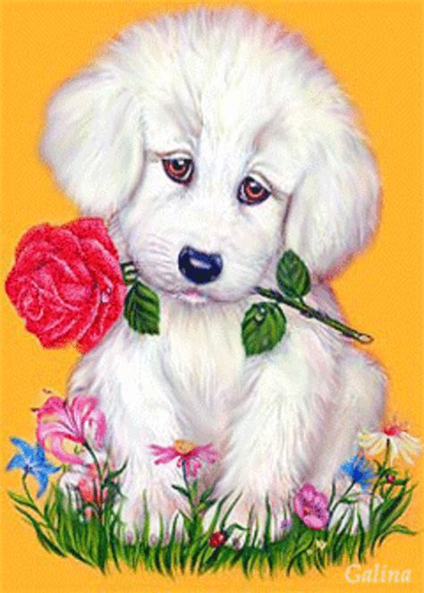 Cuteness ♡♥♡ Dog Canvas Art Dog Animation Cute Love Images
