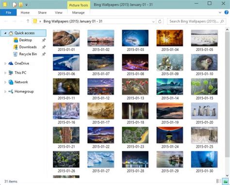 50 Bing Wallpaper 2015 Download On Wallpapersafari