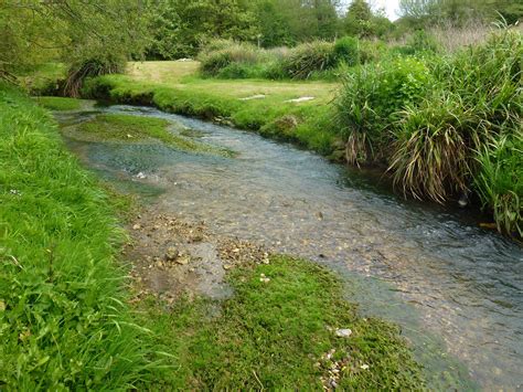 Rivers & Streams | Dorset Area of Outstanding Natural Beauty